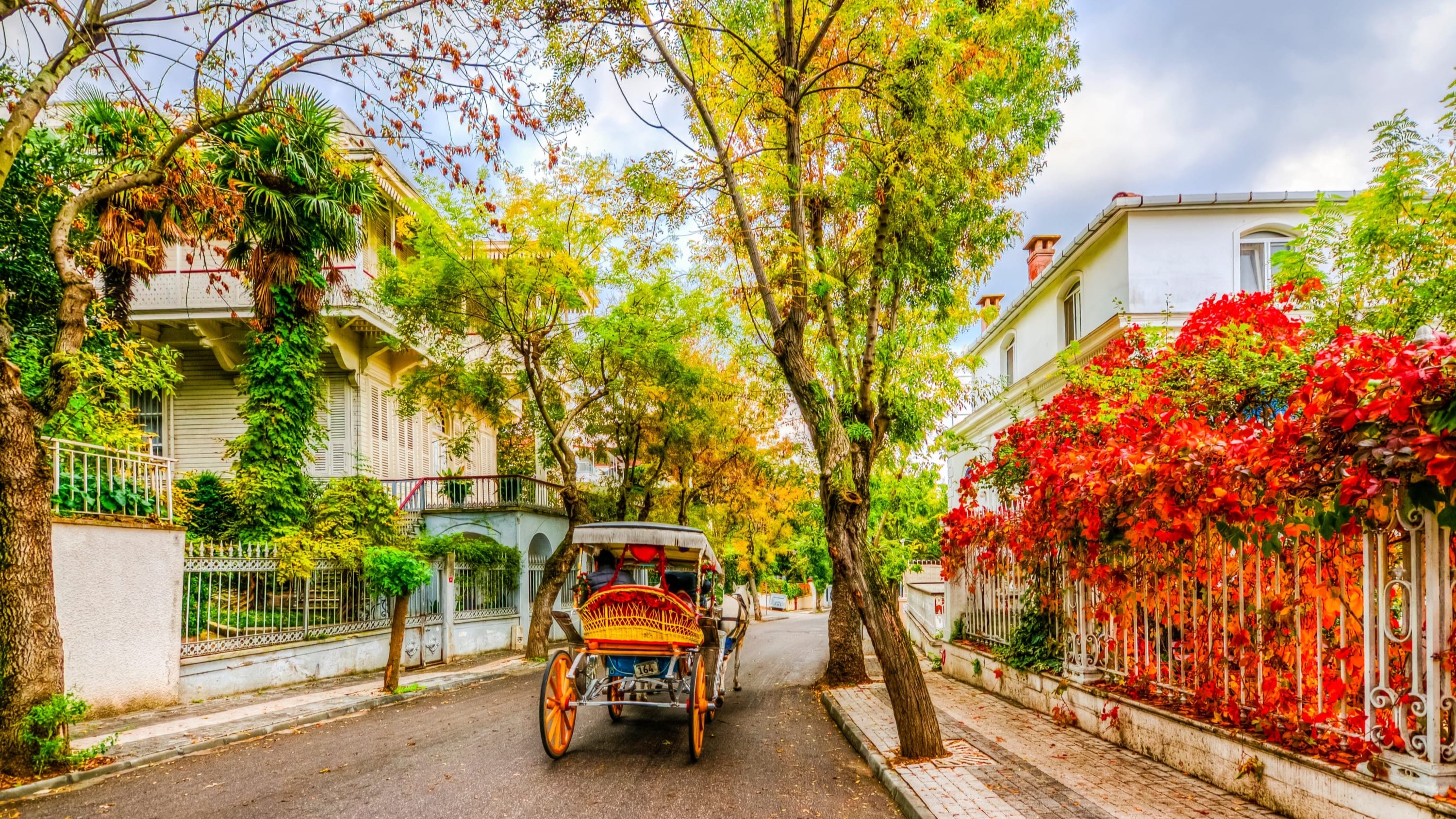 7 days in Istanbul and the countryside